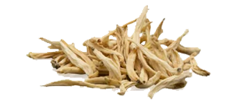 Musli Safed