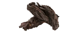 Ratan Joot